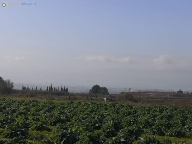 Terre non Aménagée à vendre à Benigánim - 69 000 € (Ref: 9518051)