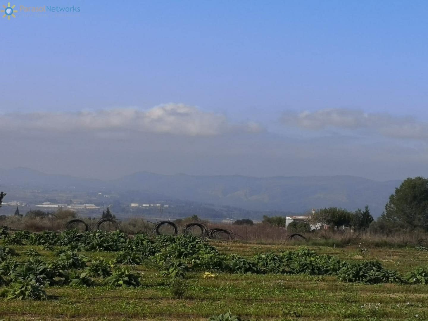 Terre non Aménagée à vendre à Beniganim - 69 000 € (Ref: 9518051)