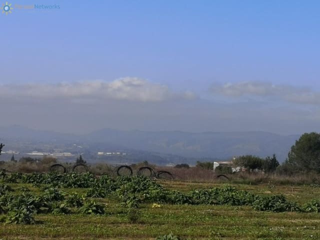 Terre non Aménagée à vendre à Benigánim - 69 000 € (Ref: 9518051)