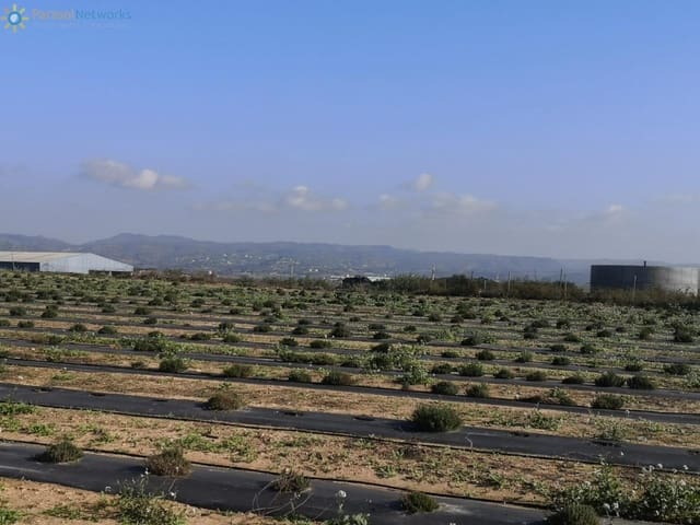 Terre non Aménagée à vendre à Benigánim - 69 000 € (Ref: 9518051)