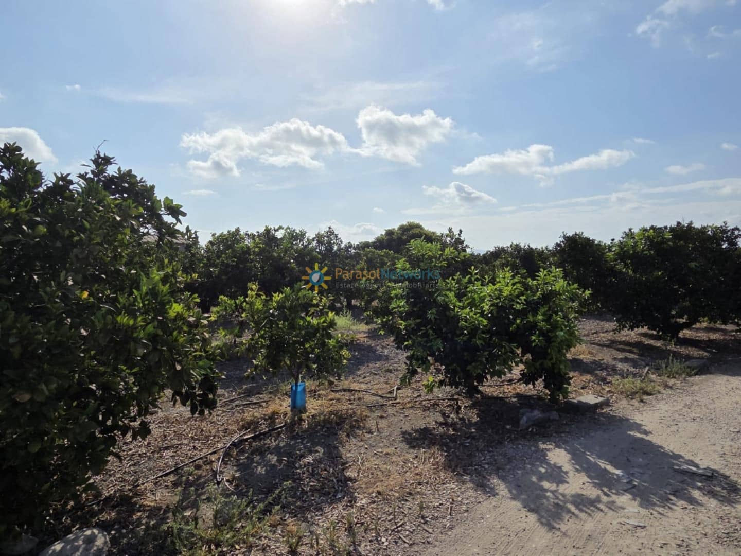 Finca/Landehus til salg i Senyera - € 65.000 (Ref: 9523566)