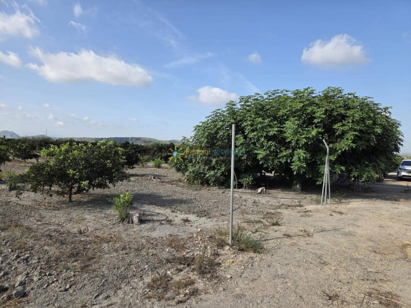 Finca/Landehus til salg i Senyera - € 65.000 (Ref: 9523566)