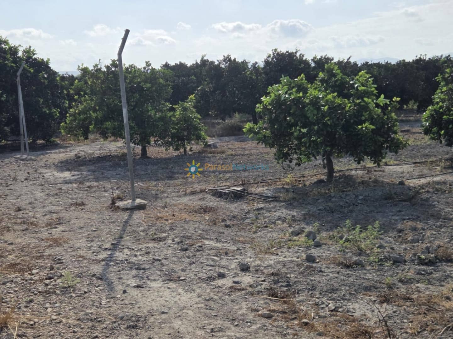 Finca/Landehus til salg i Senyera - € 65.000 (Ref: 9523566)