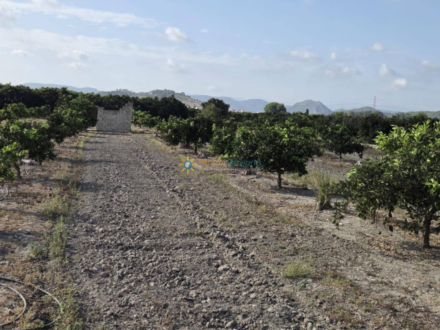 Finca/Landehus til salg i Senyera - € 65.000 (Ref: 9523566)