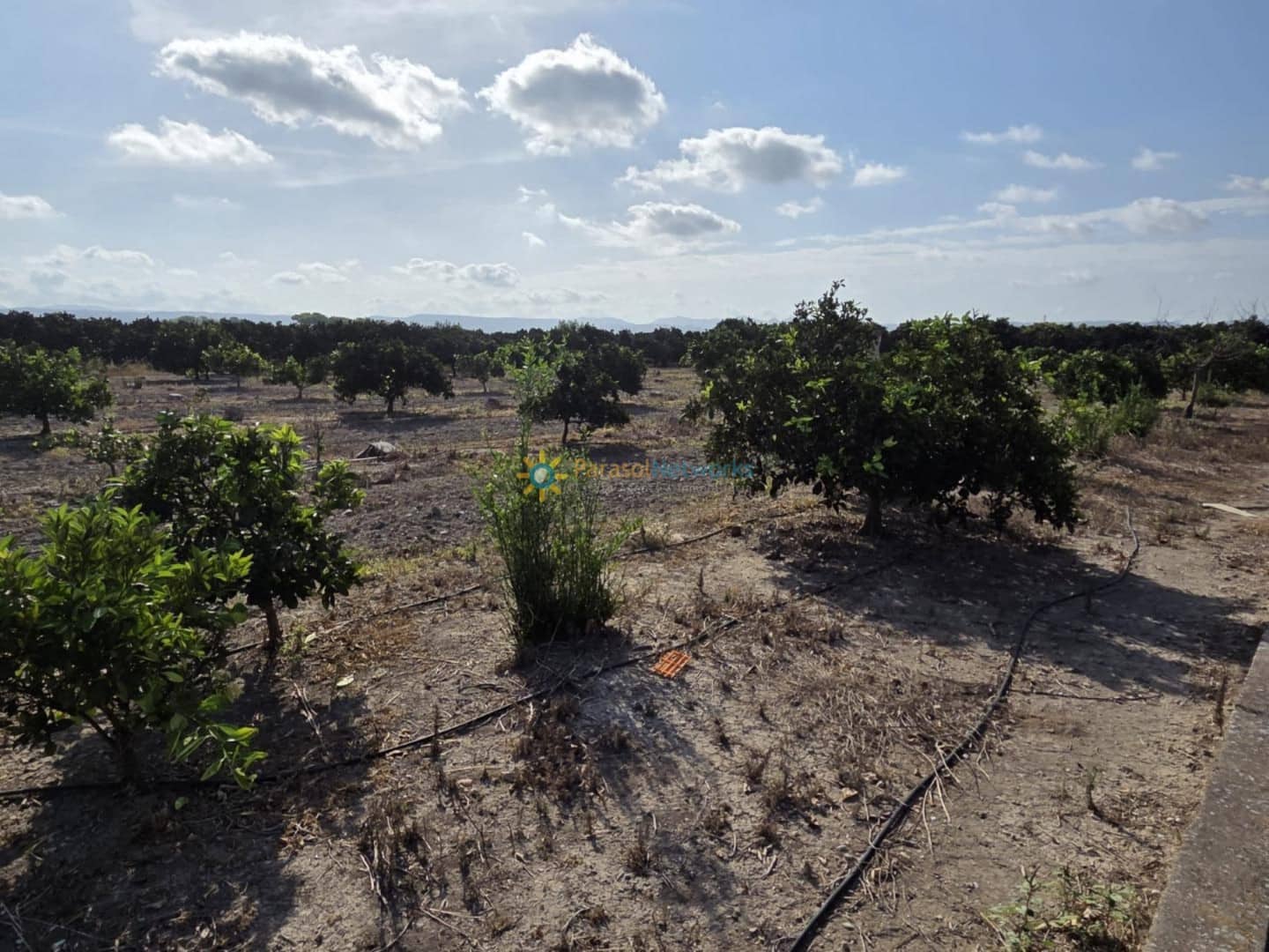 Finca/Landehus til salg i Senyera - € 65.000 (Ref: 9523566)