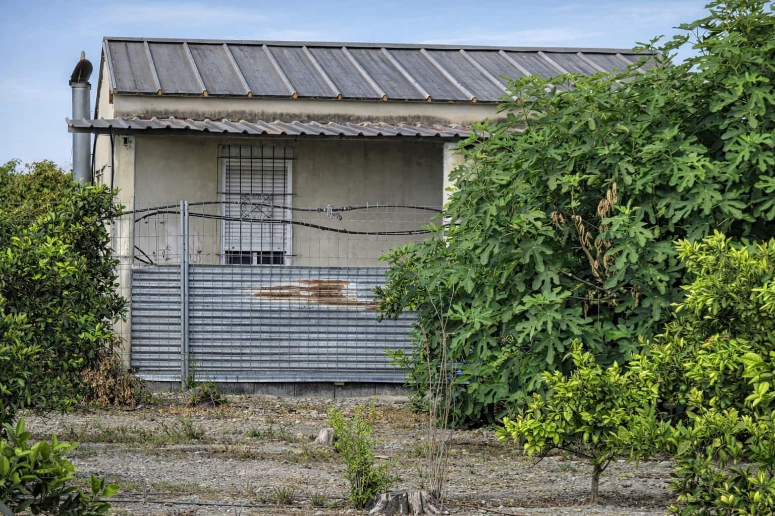 Finca/Casa di Campagna in vendita in Senyera - 65.000 € (Rif: 9523566)