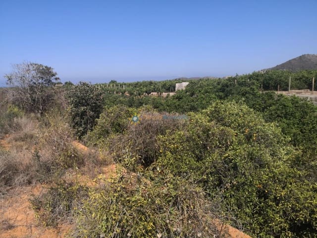 Terreno/Finca Rústica en Oliva Pueblo, Oliva en venta - 28.000 € (Ref: 9541761)