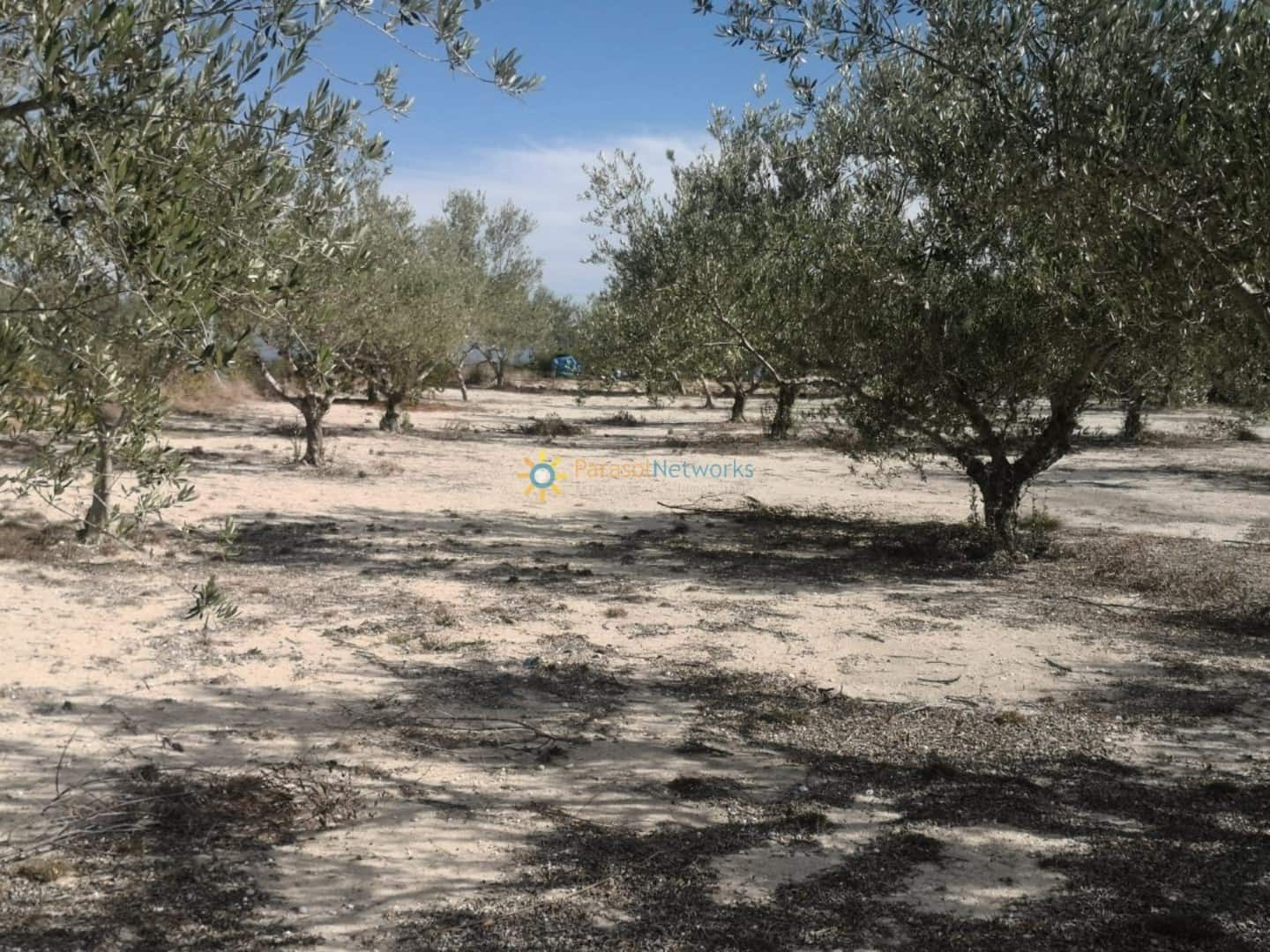 3 soveværelse Finca/Landehus til salg i Bufali med garage - € 110.000 (Ref: 9542423)