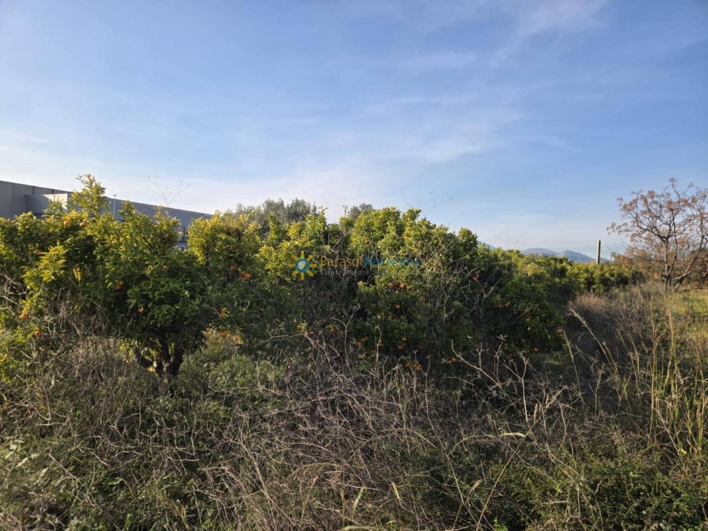 Building Plot for sale in Rafelcofer - € 8,500 (Ref: 9542739)