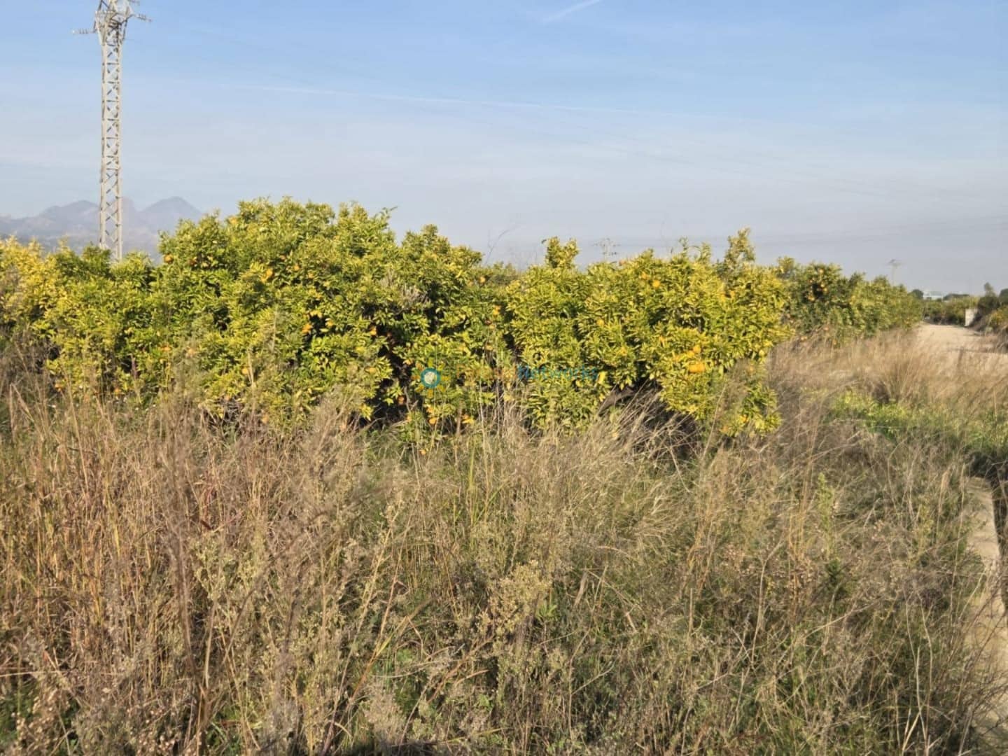 Building Plot for sale in Rafelcofer - € 8,500 (Ref: 9542739)