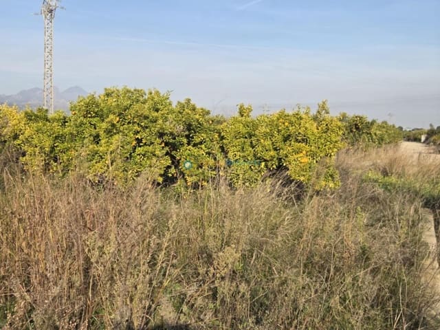 Building Plot for sale in Rafelcofer - € 8,500 (Ref: 9542739)