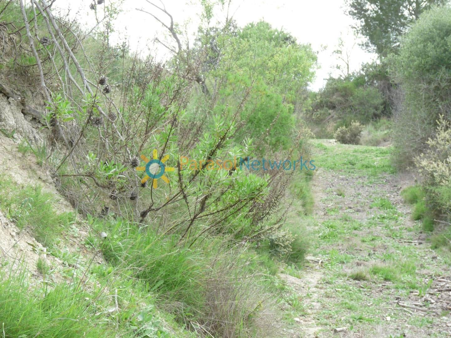 Building Plot for sale in Castello de Rugat - € 35,000 (Ref: 9547104)
