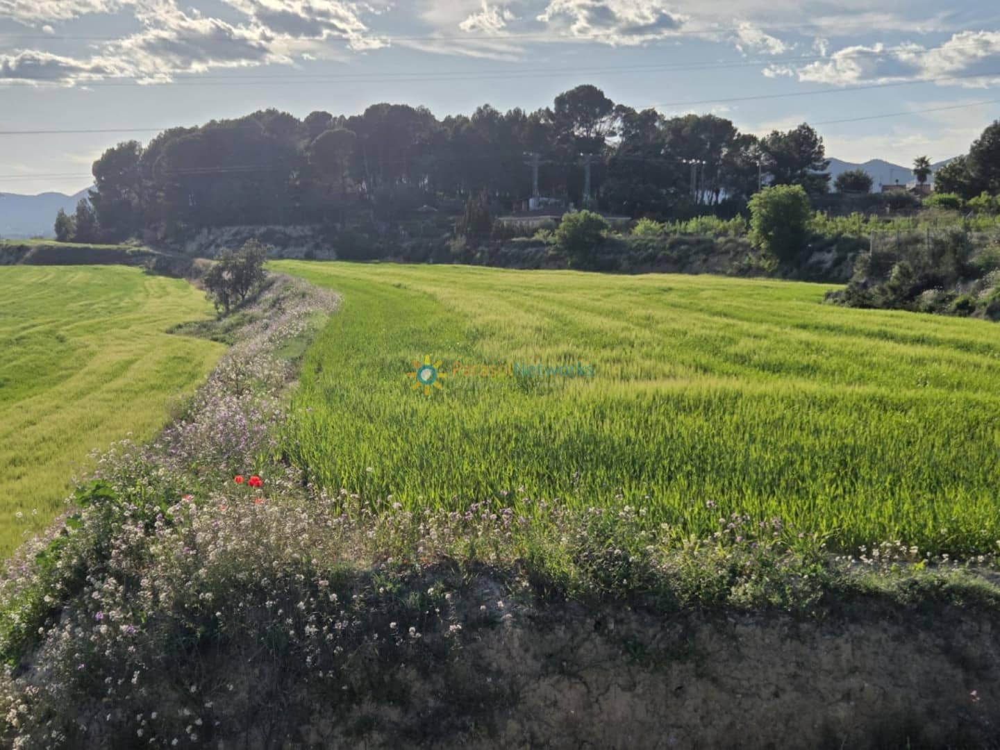 Terreno Não Urbanizado para venda em L'Olleria - 70 000 € (Ref: 9550034)