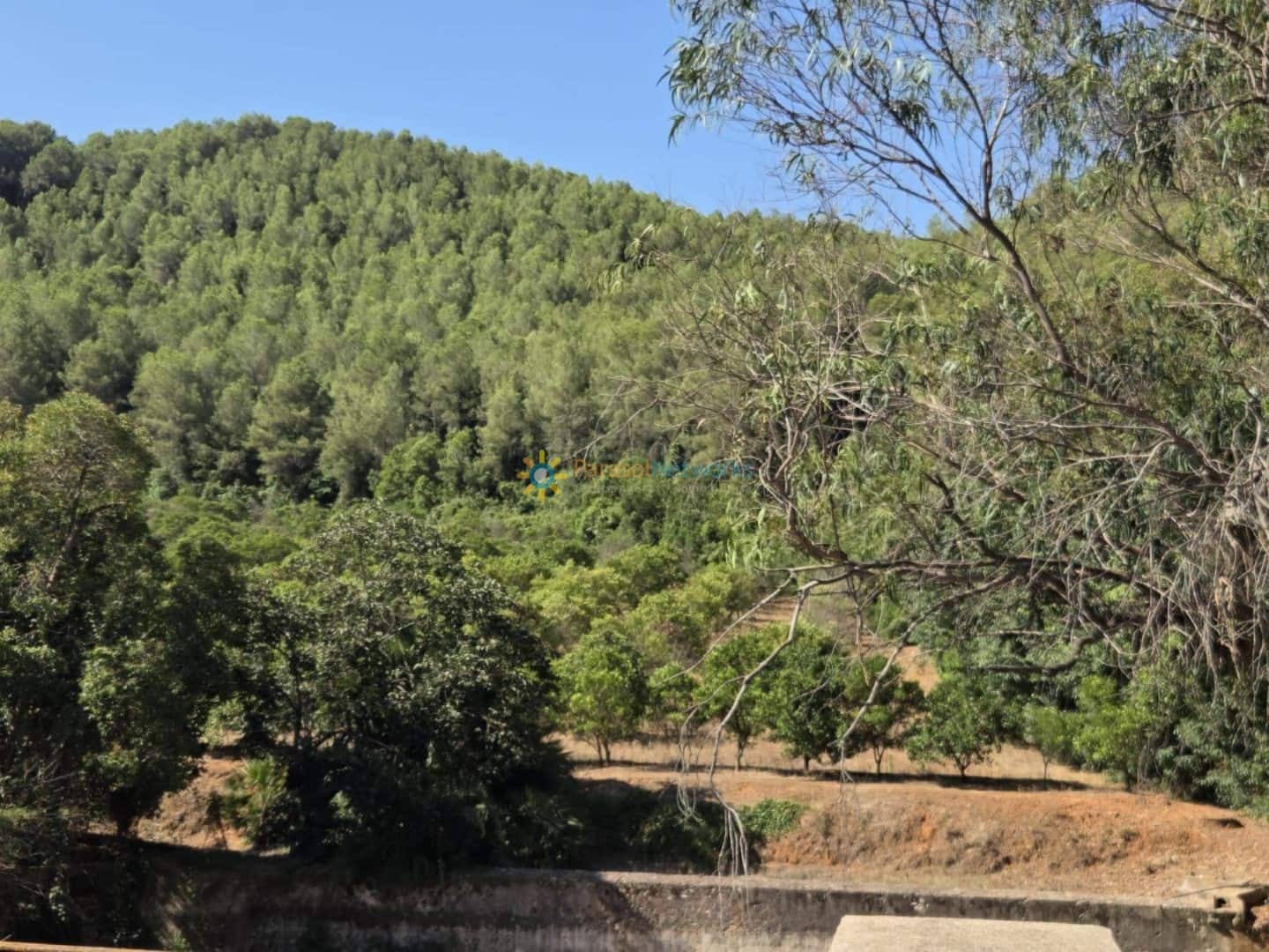 11 soveværelse Finca/Landehus til salg i Alzira med swimmingpool garage - € 1.999.999 (Ref: 9550091)