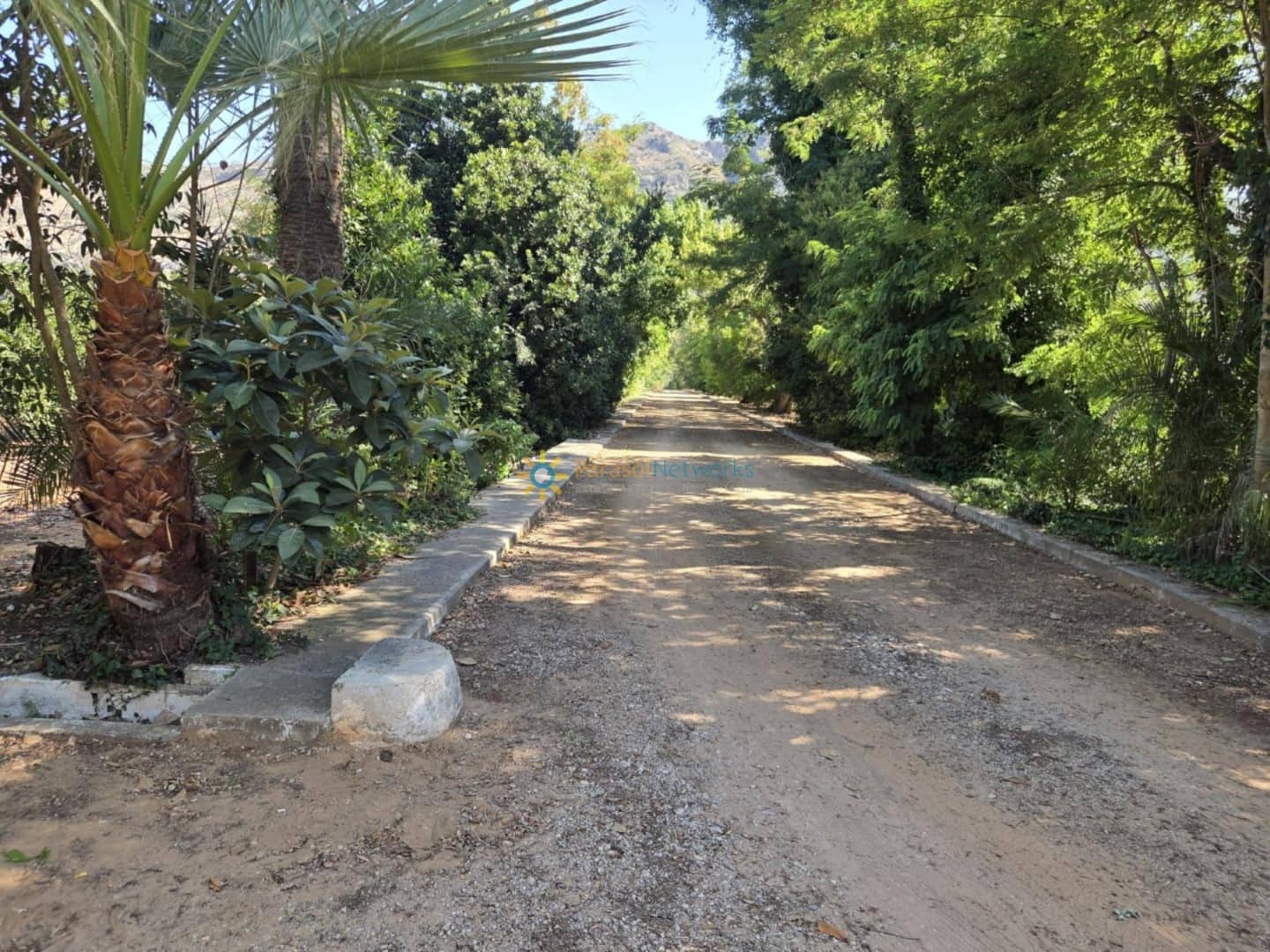 11 soveværelse Finca/Landehus til salg i Alzira med swimmingpool garage - € 1.999.999 (Ref: 9550091)