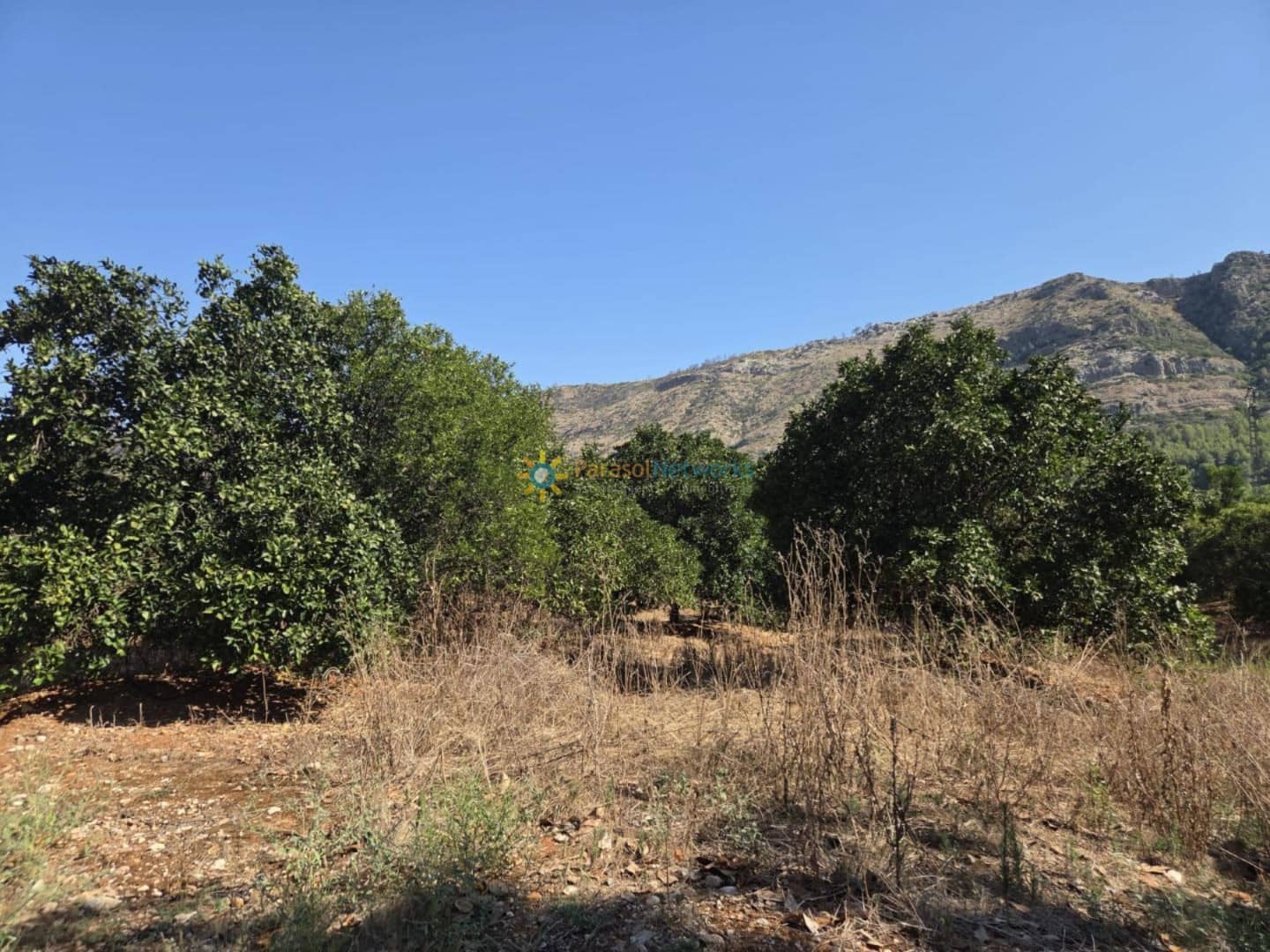 11 soveværelse Finca/Landehus til salg i Alzira med swimmingpool garage - € 1.999.999 (Ref: 9550091)