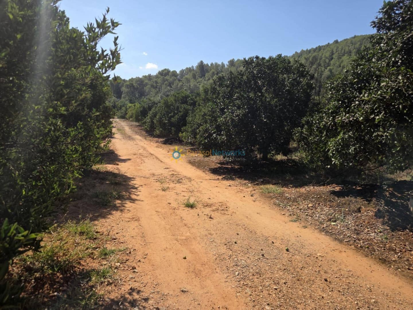 11 soveværelse Finca/Landehus til salg i Alzira med swimmingpool garage - € 1.999.999 (Ref: 9550091)