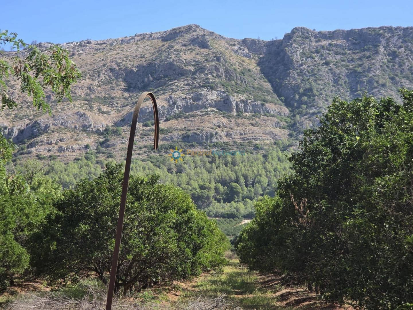 11 soveværelse Finca/Landehus til salg i Alzira med swimmingpool garage - € 1.999.999 (Ref: 9550091)