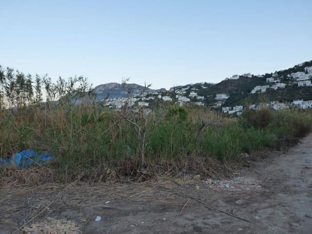 Bouwgrond te koop in Pego - € 50.000 (Ref: 9550360)