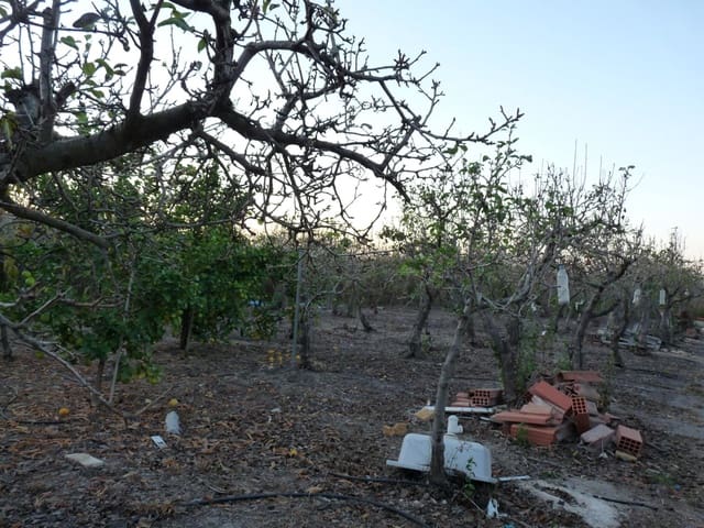 Bouwgrond te koop in Pego - € 50.000 (Ref: 9550360)