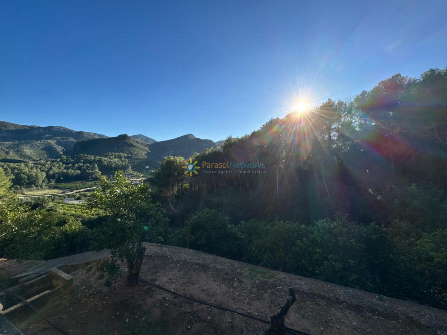 Ubebygd land til salgs i Simat de la Valldigna - € 38 000 (Ref: 9552783)