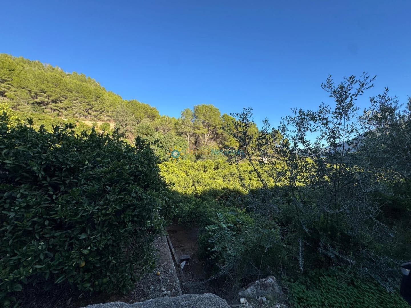 Ubebygd land til salgs i Simat de la Valldigna - € 38 000 (Ref: 9552783)