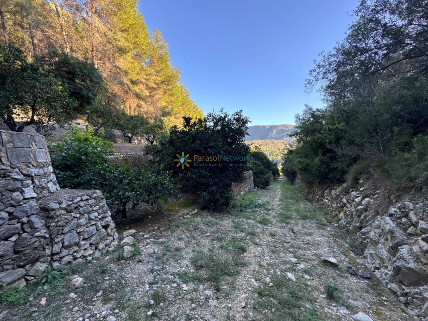 Ubebygd land til salgs i Simat de la Valldigna - € 38 000 (Ref: 9552783)