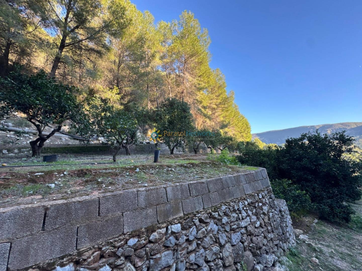 Ubebygd land til salgs i Simat de la Valldigna - € 38 000 (Ref: 9552783)