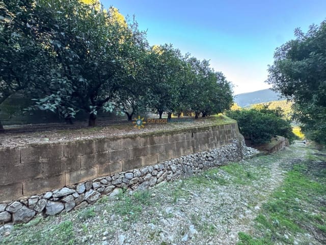 Ubebygd land til salgs i Simat de la Valldigna - € 38 000 (Ref: 9552783)