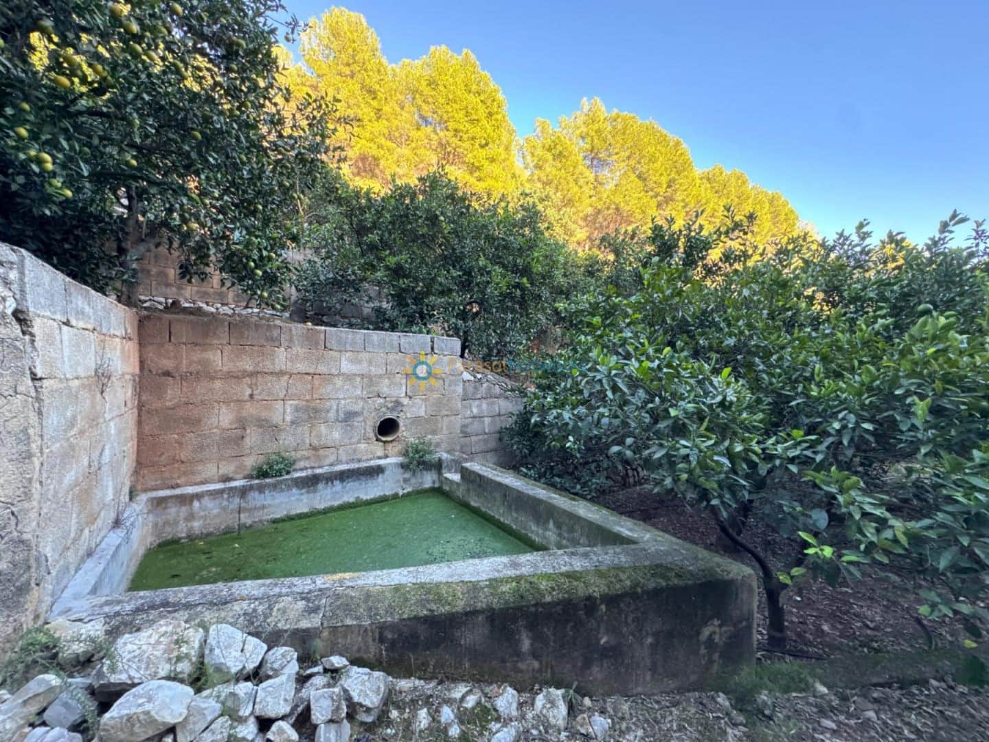 Ubebygd land til salgs i Simat de la Valldigna - € 38 000 (Ref: 9552783)