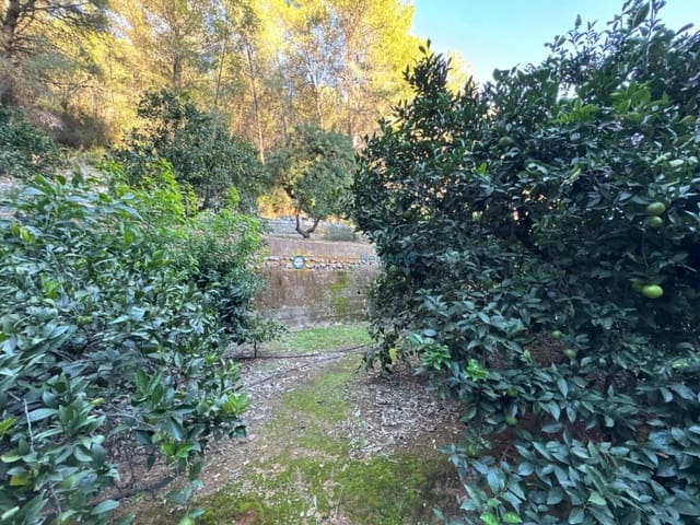 Ubebygd land til salgs i Simat de la Valldigna - € 38 000 (Ref: 9552783)