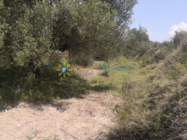 Building Plot for sale in Castelló de Rugat - € 19,000 (Ref: 9553098)