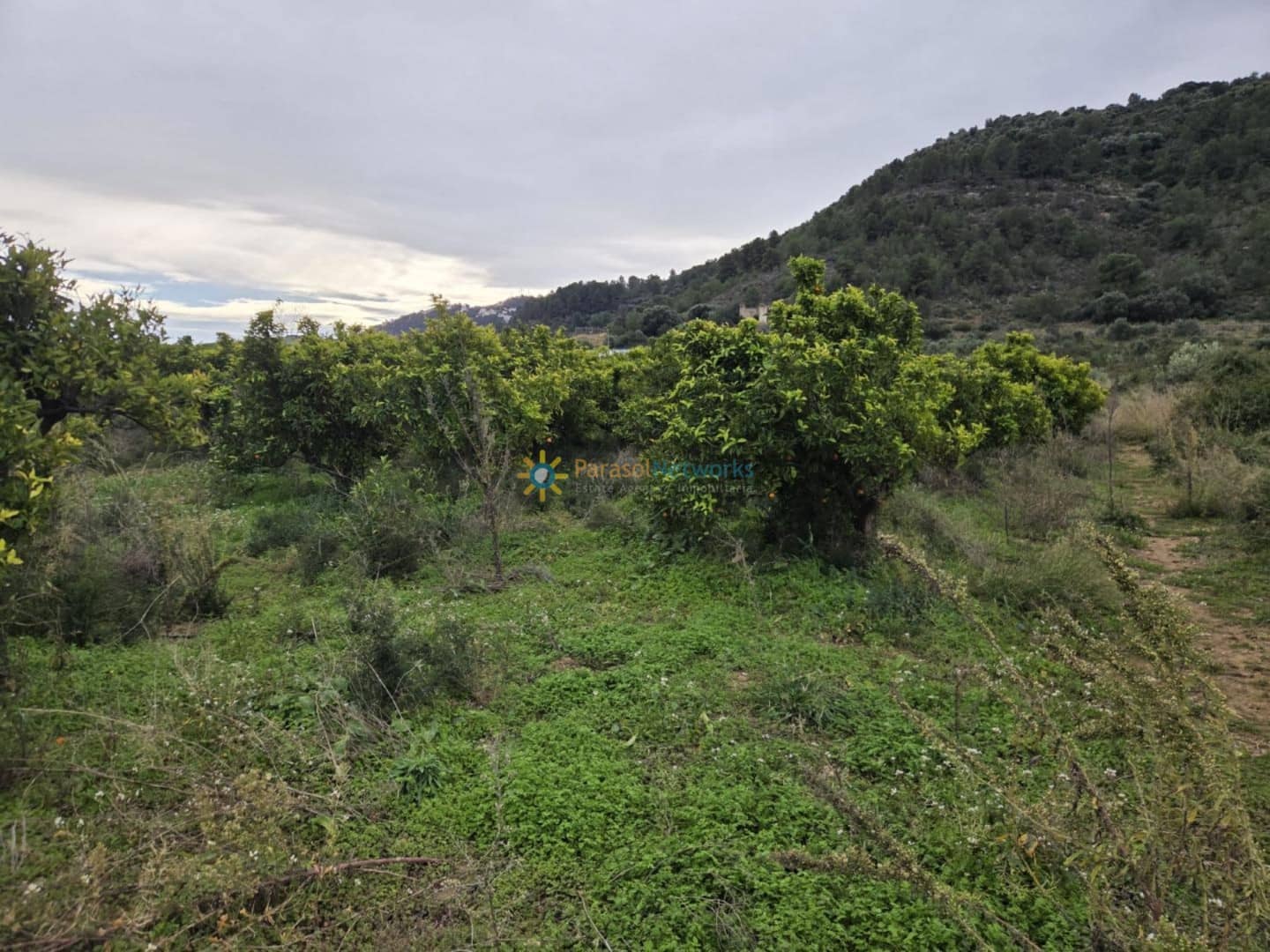 Undeveloped Land for sale in Rafelcofer - € 14,500 (Ref: 9558869)
