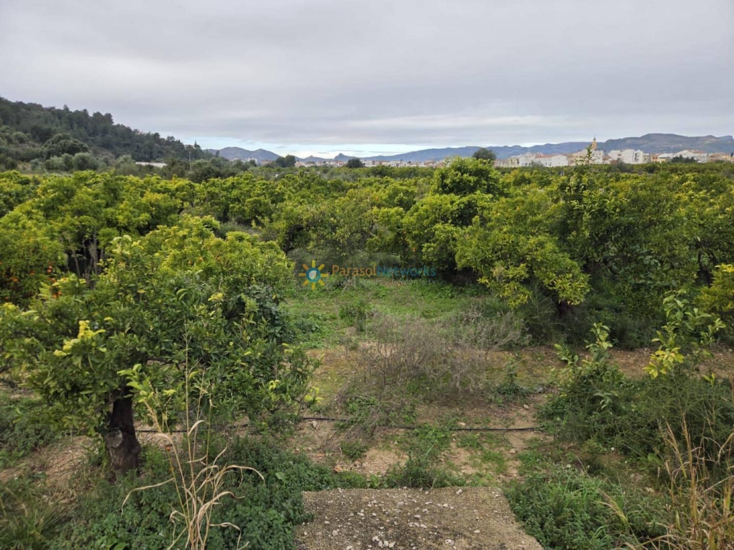 Undeveloped Land for sale in Rafelcofer - € 14,500 (Ref: 9558869)