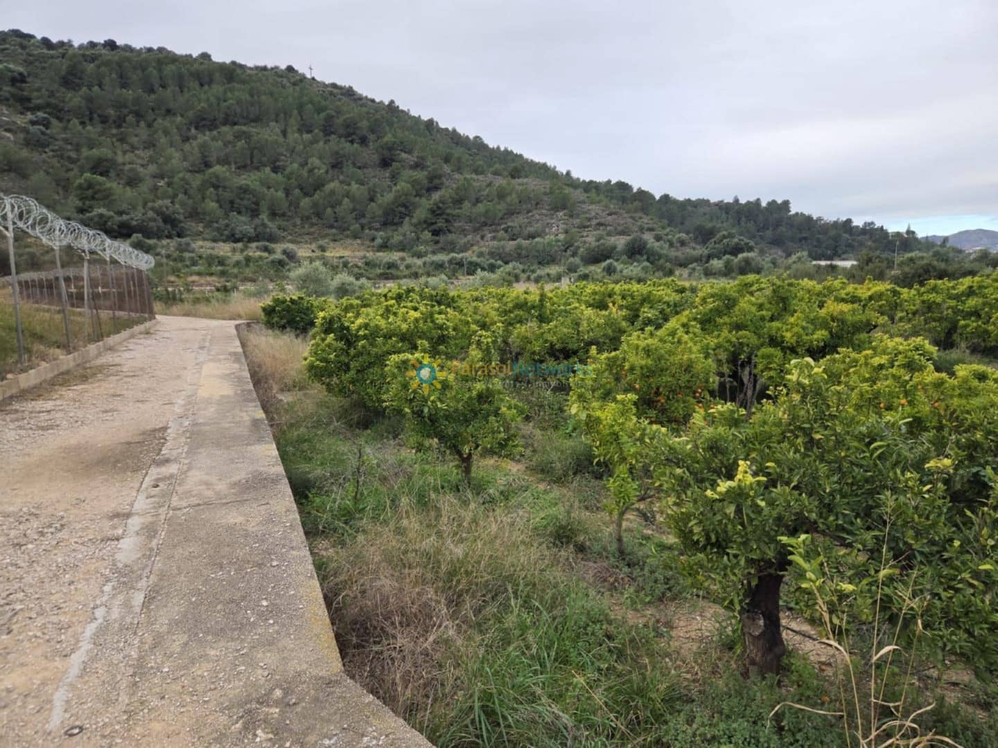 Undeveloped Land for sale in Rafelcofer - € 14,500 (Ref: 9558869)