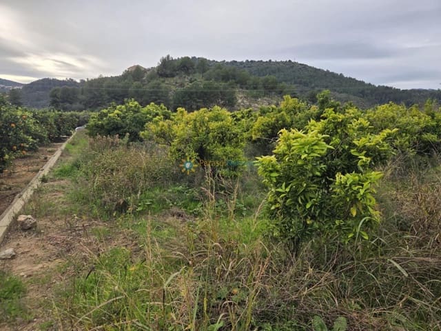 Mark till salu i Alqueria de la Comtessa - 15 000 € (Ref: 9563903)