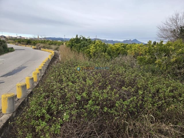 Mark till salu i Alqueria de la Comtessa - 15 000 € (Ref: 9563903)