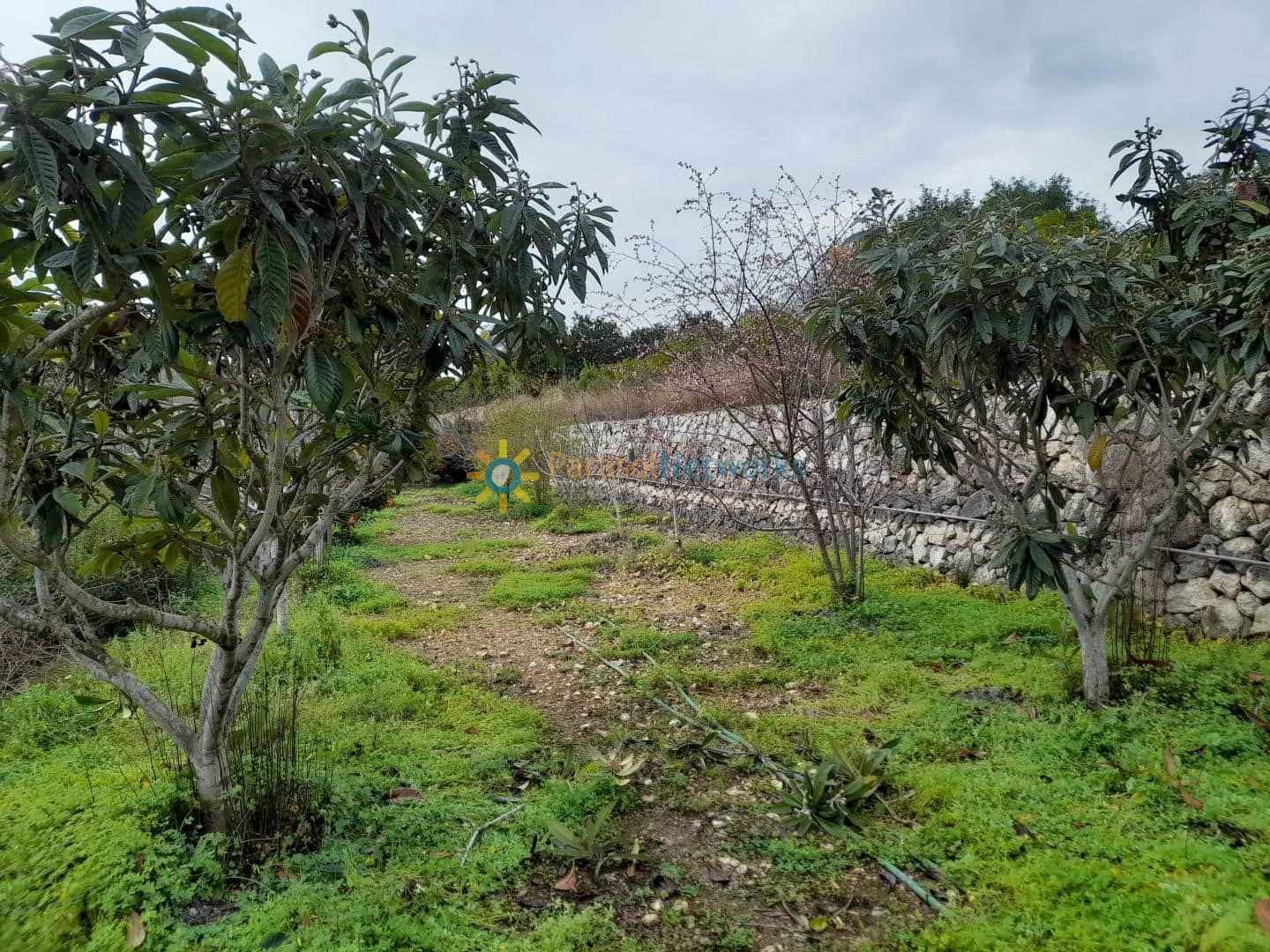 1 soverom Villa til salgs i Llocnou de Sant Jeroni med svømmebasseng garasje - € 645 000 (Ref: 9571562)