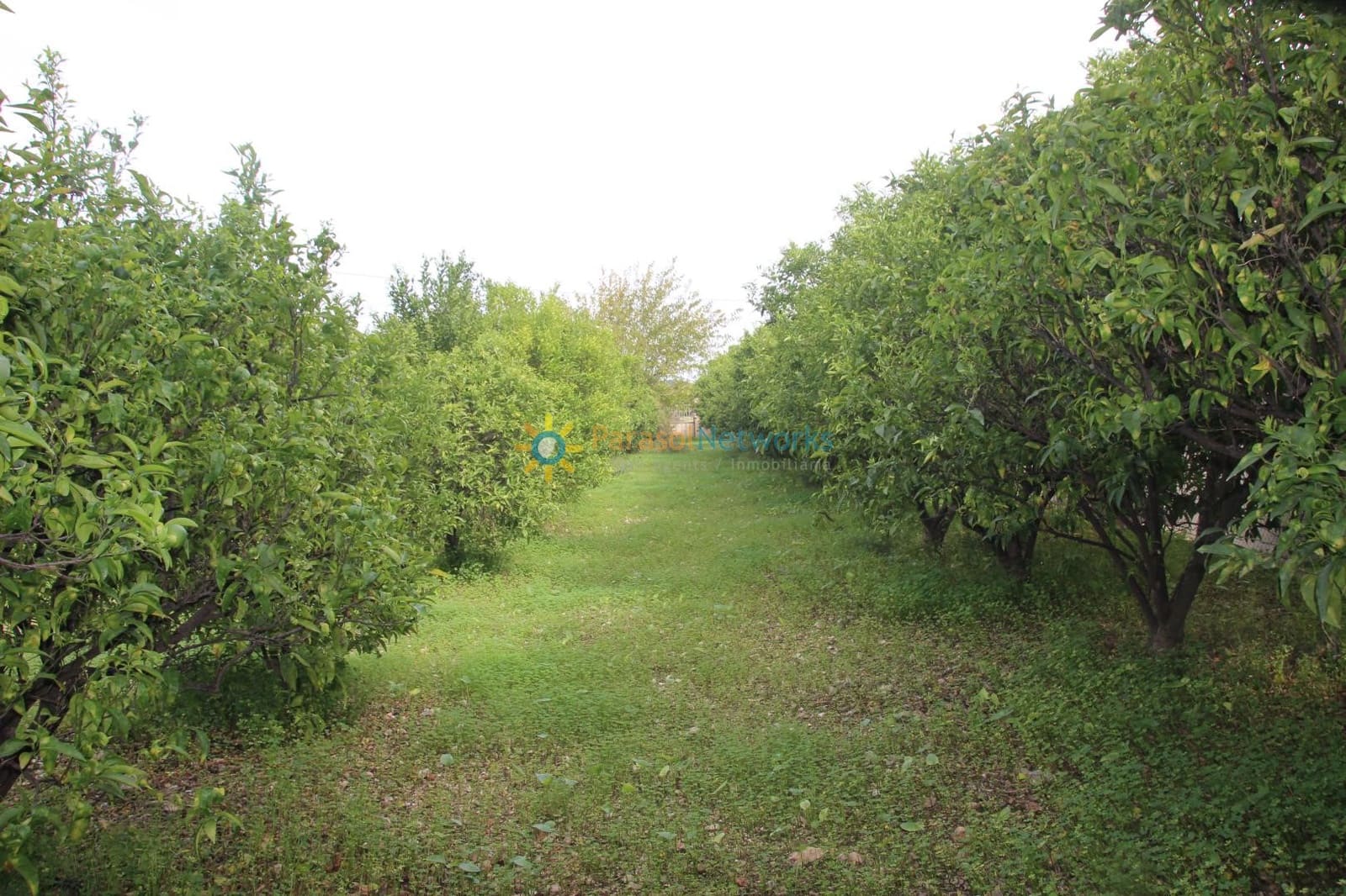 1 soverom Villa til salgs i Llocnou de Sant Jeroni med svømmebasseng garasje - € 645 000 (Ref: 9571562)