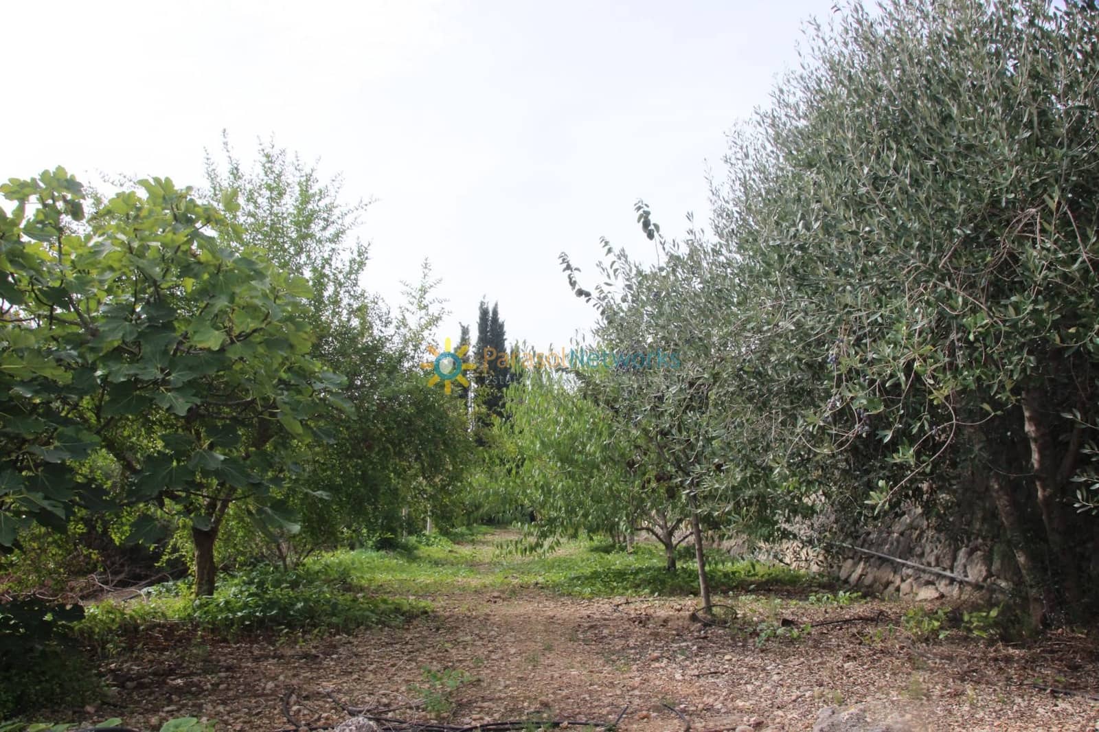 1 soverom Villa til salgs i Llocnou de Sant Jeroni med svømmebasseng garasje - € 645 000 (Ref: 9571562)