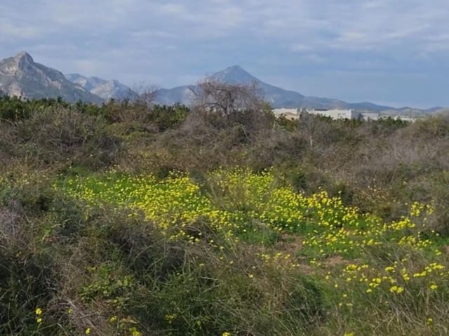 Grunde uden byggetilladelser til salg i Gandia - € 27.000 (Ref: 9585091)