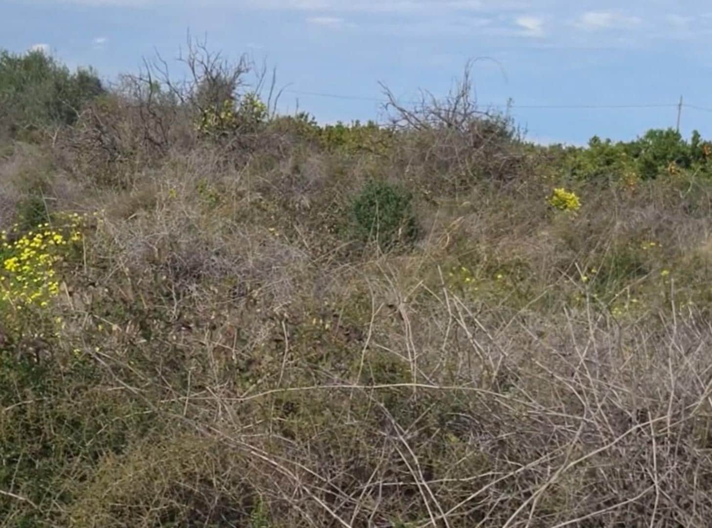 Grunde uden byggetilladelser til salg i Gandia - € 27.000 (Ref: 9585091)