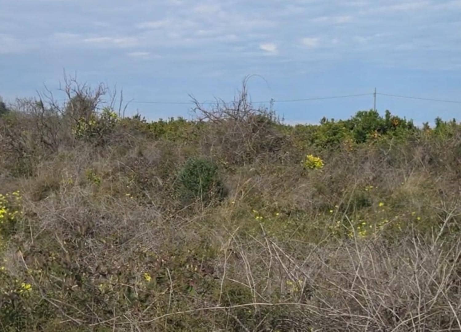 Grunde uden byggetilladelser til salg i Gandia - € 27.000 (Ref: 9585091)