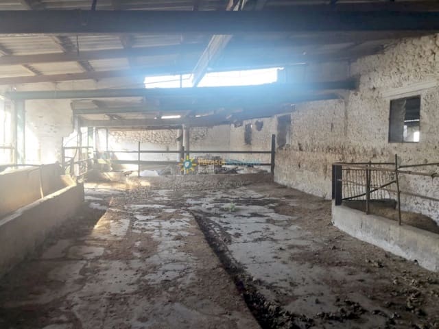 Finca/Casa Rural en Bellreguard en venta - 185.000 € (Ref: 9585167)