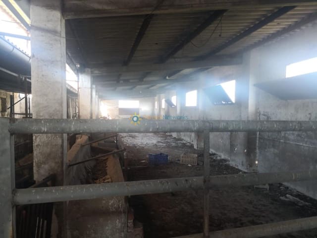 Finca/Casa Rural en Bellreguard en venta - 185.000 € (Ref: 9585167)