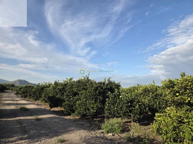 Undeveloped Land for sale in Senyera - € 53,000 (Ref: 9585214)