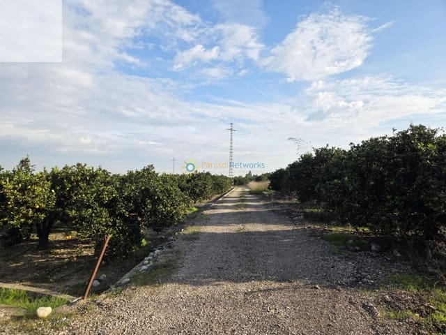 Undeveloped Land for sale in Senyera - € 53,000 (Ref: 9585214)