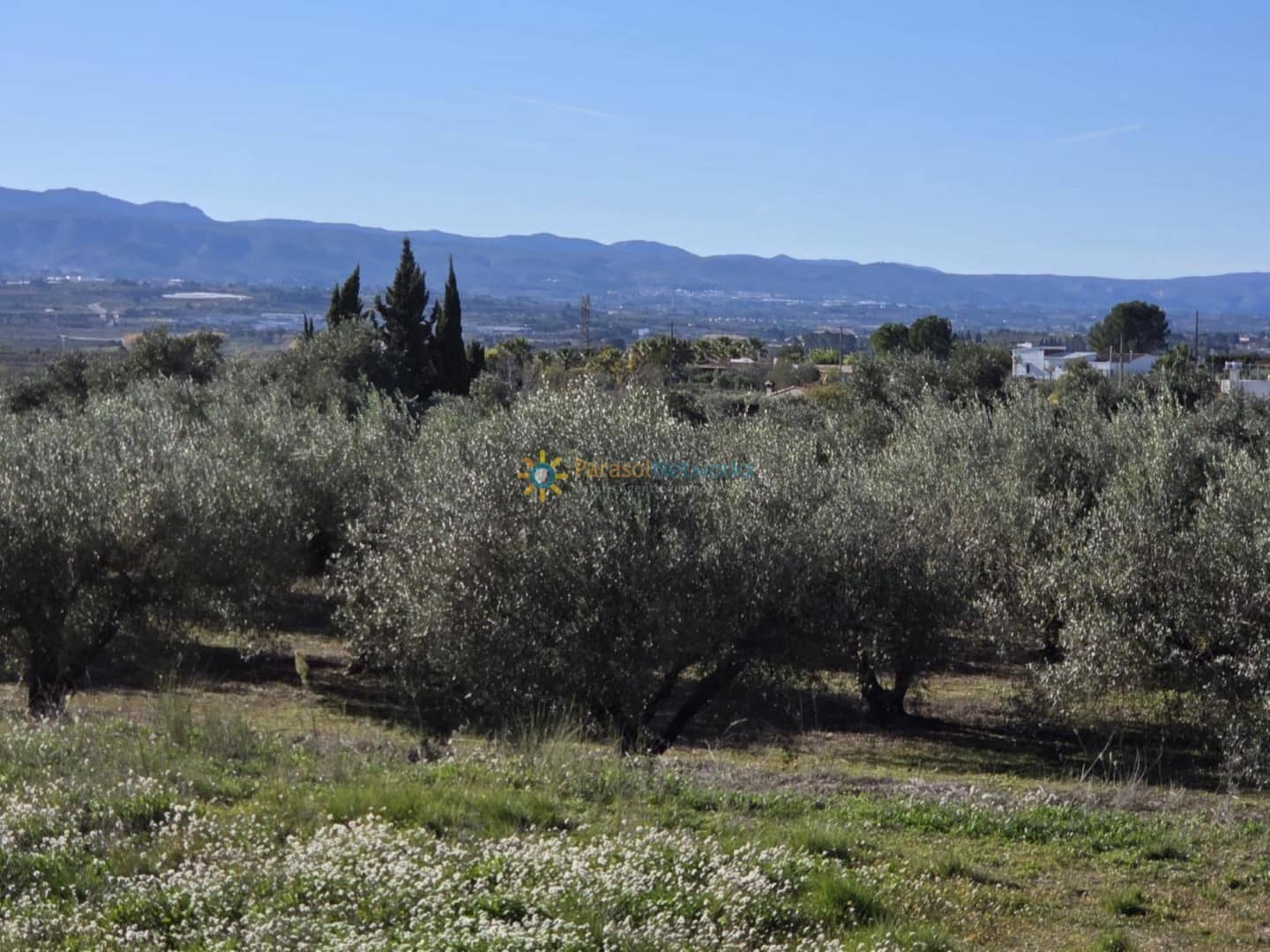 Grunde uden byggetilladelser til salg i Beniganim - € 42.000 (Ref: 9596799)