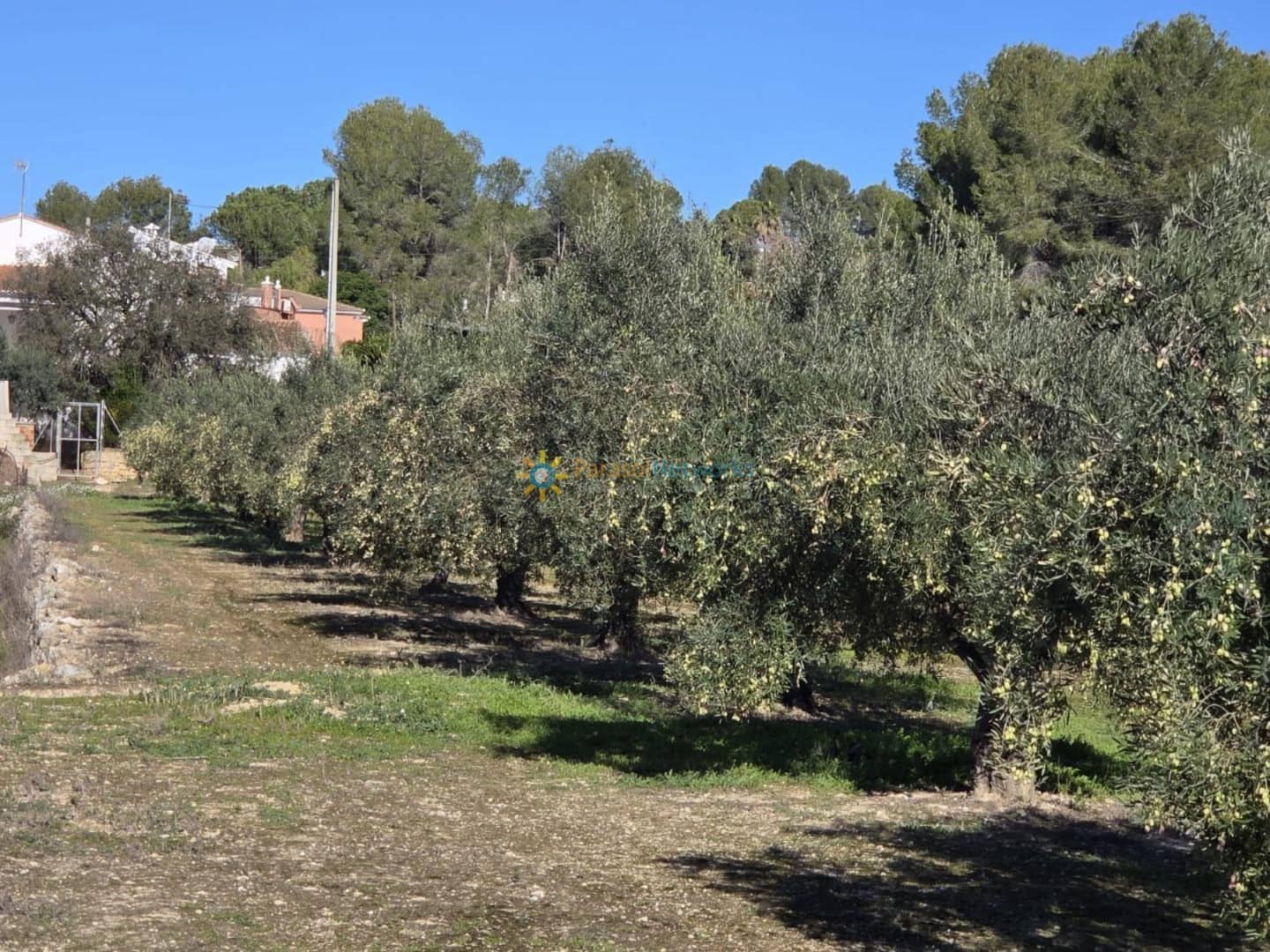 Grunde uden byggetilladelser til salg i Beniganim - € 42.000 (Ref: 9596799)