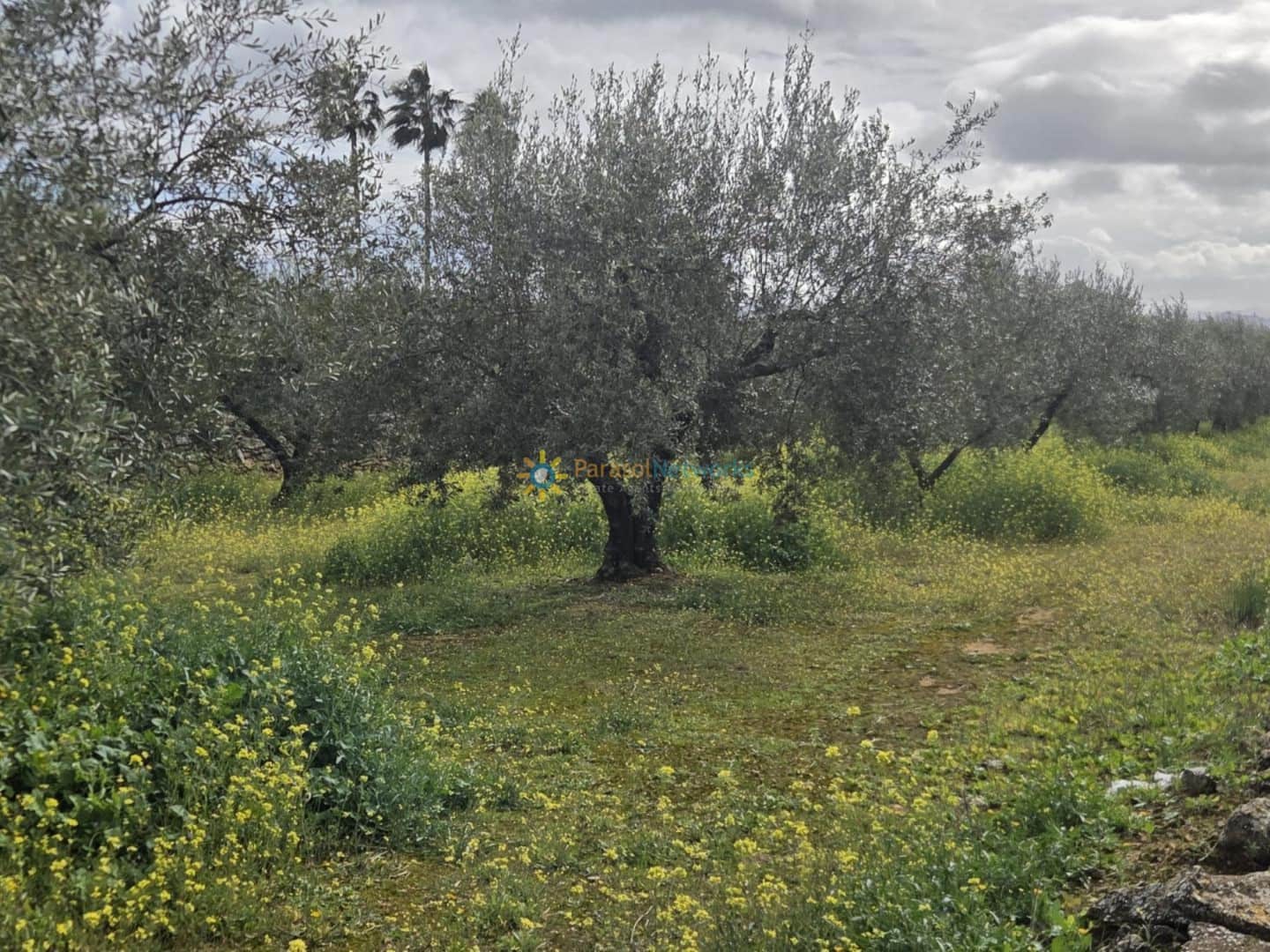 Grunde uden byggetilladelser til salg i Beniganim - € 42.000 (Ref: 9596799)